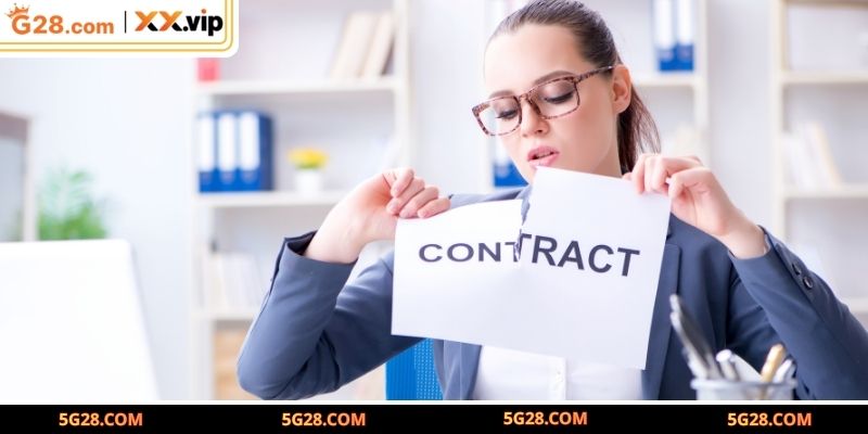 Chính sách miễn trừ trách nghiệm tại nền tảng