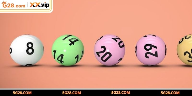 Sự phong phú trong các hình thức đặt cược số