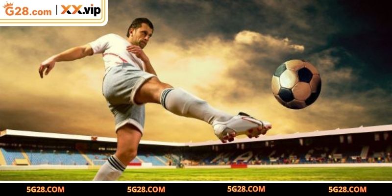 Tìm hiểu kinh nghiệm cá cược bóng đá tài xỉu